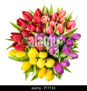 Tulpen mit Wassertropfen. Frühling Blumen Blumenstrauß. Rot, rosa, gelb, lila Blüten Stockfoto