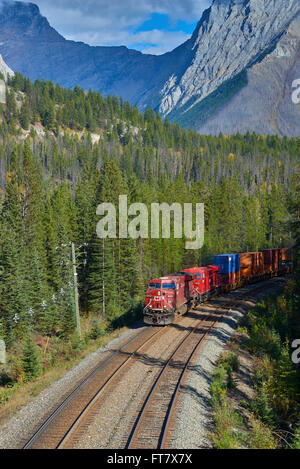Kanada, British Columbia, Yoho, 2014-09-27: Güterzug durch Yoho Nationalpark auf dem Weg nach golden. Stockfoto