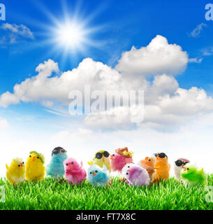 Ostern-Hühner in Grasgrün mit sonnigen blauen Himmel. Ostern Urlaub Hintergrund Stockfoto