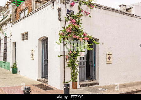 ESPACIO CULTURAL, MONTIVIDEO, URUGUAY - CA. DEZEMBER 2015. Eingang, Espacio kulturellen auf Calle Washington. Stockfoto