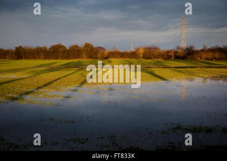 Elektrische Masten erstrecken sich bis zum Horizont in ein Flodded Feld mit langen Schatten bei Sonnenuntergang. Stockfoto