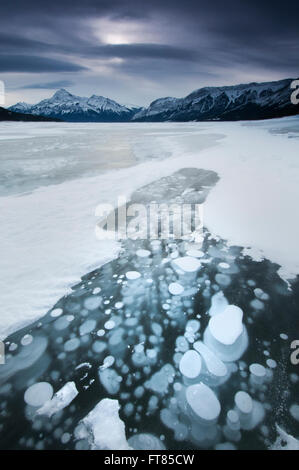 Gefrorene Gasblasen unter Oberfläche der gefrorenen See Abraham, kanadischen Rocky Mountains, Alberta Stockfoto