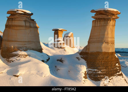 Drumheller Hoodoos, auffallend erodierte Badlands kreidezeitliche Sedimente im Bereich berühmt für Dinosaurier-Fossilien, Drumheller, Alberta Stockfoto