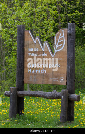 Zeichen des Nationalparks Hainich Eingang / Nationalpark Hainich, Thüringen / Thüringen, Deutschland Stockfoto