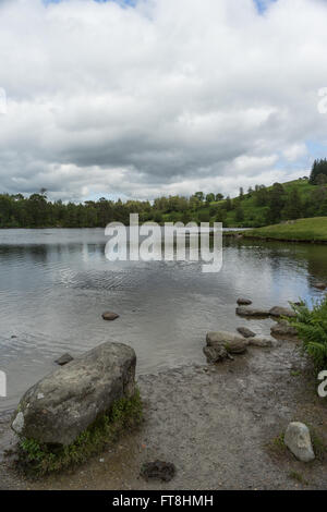 Tarn Hows auf eine stimmungsvolle Nachmittag, hohe Wolken blockiert die Sonne. Stockfoto