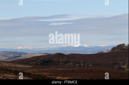 Fernen Gipfel des Stuc ein Chroin und Ben Vorlich betrachtet aus Sidlaw Hills Schottland März 2016 Stockfoto