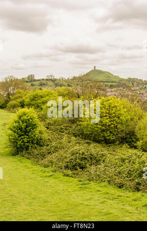 Ein Blick auf das Tor von Wearyall Hill, Glastonbury, Somerset. Stockfoto