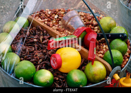 Gebratene Heuschrecken bekannt als Chapulines zum Verkauf, San Cristobal de Las Casas, Chiapas, Mexiko Stockfoto