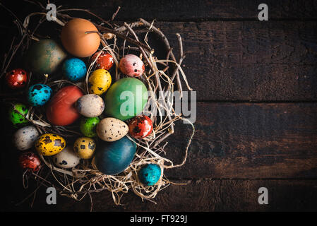 Bunte Wachteln und Huhn Ostereier im Nest, Textfreiraum Stockfoto