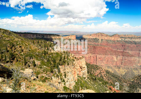 Mit Blick auf den Grand Canyon National Park, grünen Hügeln rötlich orange Klippen unter blauem Himmel mit flauschigen weissen Wolken. Stockfoto