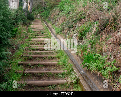 Santa Cruz, Madeira, März 2016 Stockfoto