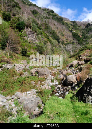 Südküste Madeira, März 2016 Stockfoto