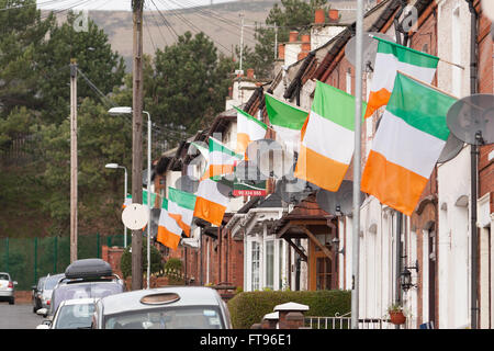 West-Belfast, Nordirland. 25. März 2016. Viele Häuser in West Belfast fliegen die Flagge der Republik Irland während der Vorbereitungen zum Gedenken an den 100. Jahrestag des Easter Rising: Bonzo/Alamy Live News Stockfoto