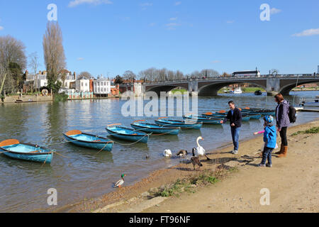 Hampton Court, London, UK. 25. März 2016. UK-Wetter: Familie füttern Enten neben der Themse in Hampton Court, London, in der warmen Frühlingssonne am Karfreitag Morgen. Bildnachweis: Julia Gavin UK/Alamy Live-Nachrichten Stockfoto