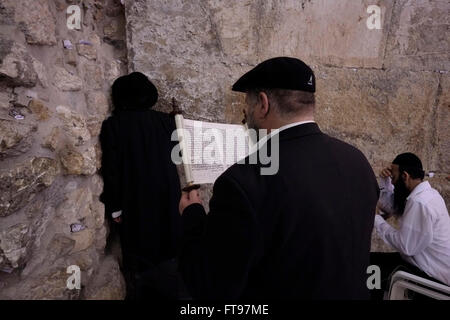 Ein religiöser Jude, der während des jüdischen Purim-Festes in der Westmauer oder Kotel in der Altstadt von Ostjerusalem Israel die Megilla oder die Schriftrolle von Esther liest Stockfoto