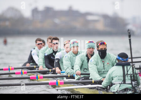 London, UK. 26. März 2016. Das Bootsrennen. Der Cancer Research UK Regatten 2016. Statt auf die Tideway, Themse zwischen Putney und Mortlake, London, England, Vereinigtes Königreich. Tideway Woche. (Praxis Ausflüge während der Woche vor den Rennen, die an Ostern Sonntag, 27. März 2016 stattfinden.) Cambridge University (CUBC) Blue crew auf einem Praxis-Ausflug. Bildnachweis: Duncan Grove/Alamy Live-Nachrichten Stockfoto
