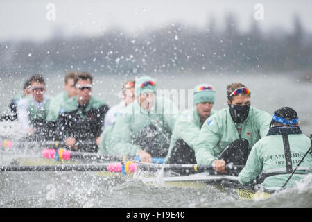 London, UK. 26. März 2016. Das Bootsrennen. Der Cancer Research UK Regatten 2016. Statt auf die Tideway, Themse zwischen Putney und Mortlake, London, England, Vereinigtes Königreich. Tideway Woche. (Praxis Ausflüge während der Woche vor den Rennen, die an Ostern Sonntag, 27. März 2016 stattfinden.) Cambridge University (CUBC) Blue crew auf einem Praxis-Ausflug. Bildnachweis: Duncan Grove/Alamy Live-Nachrichten Stockfoto