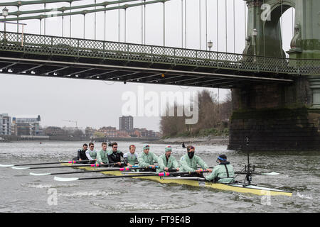 London, UK. 26. März 2016. Das Bootsrennen. Der Cancer Research UK Regatten 2016. Statt auf die Tideway, Themse zwischen Putney und Mortlake, London, England, Vereinigtes Königreich. Tideway Woche. (Praxis Ausflüge während der Woche vor den Rennen, die an Ostern Sonntag, 27. März 2016 stattfinden.) Cambridge University (CUBC) Blue crew auf einem Praxis-Ausflug. Bildnachweis: Duncan Grove/Alamy Live-Nachrichten Stockfoto