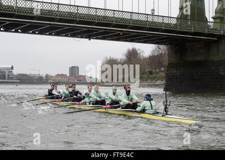 London, UK. 26. März 2016. Das Bootsrennen. Der Cancer Research UK Regatten 2016. Statt auf die Tideway, Themse zwischen Putney und Mortlake, London, England, Vereinigtes Königreich. Tideway Woche. (Praxis Ausflüge während der Woche vor den Rennen, die an Ostern Sonntag, 27. März 2016 stattfinden.) Cambridge University (CUBC) Blue crew auf einem Praxis-Ausflug. Bildnachweis: Duncan Grove/Alamy Live-Nachrichten Stockfoto
