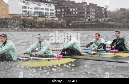 London, UK. 26. März 2016. Das Bootsrennen. Der Cancer Research UK Regatten 2016. Statt auf die Tideway, Themse zwischen Putney und Mortlake, London, England, Vereinigtes Königreich. Tideway Woche. (Praxis Ausflüge während der Woche vor den Rennen, die an Ostern Sonntag, 27. März 2016 stattfinden.) Cambridge University (CUBC) Blue crew auf einem Praxis-Ausflug. Bildnachweis: Duncan Grove/Alamy Live-Nachrichten Stockfoto