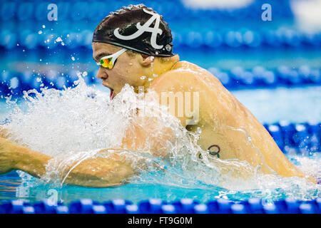 Atlanta, Georgia, USA. 26. März 2016. Alabama Schwimmer Anton McKee während der NCAA Männer Schwimmen und Tauchen Meisterschaft auf Samstag, 26. März 2016 am Georgia Tech Campus Recreation Center in Atlanta, GA. Jacob Kupferman/CSM Credit: Cal Sport Media/Alamy Live News Stockfoto