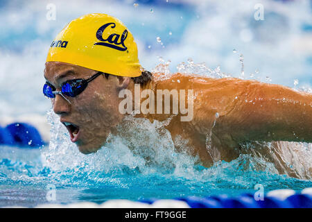 Atlanta, Georgia, USA. 26. März 2016. Cal-Schwimmer MICHAEL THOMAS konkurriert in der NCAA Männer Schwimmen und Tauchen Meisterschaft am Georgia Tech Campus Recreation Center. © Csm/Alamy Live-Nachrichten Stockfoto