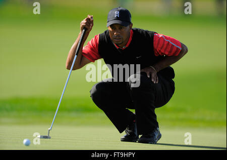 Orlando, FL, USA. 25. März 2013. Tiger Woods bei Regen verzögert Finale Runde zu spielen in der Arnold Palmer Invitational PGA Golf-Turnier in Orlando, Florida 25. März 2013. Woods gewann das Turnier. ZUMA PRESS/Scott A. Miller © Scott A. Miller/ZUMA Draht/Alamy Live-Nachrichten Stockfoto