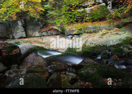 Bach, Bach im Herbst, Bergwald, Nationalpark Riesengebirge, Sudeten, Polen Stockfoto