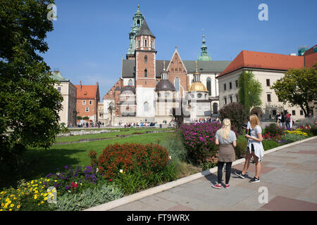 Polen, Krakow (Krakau), Wawel-Kathedrale (Katedra Wawelska), staunenden Touristen Sehenswürdigkeiten, Garten, Altstadt, Wahrzeichen der Stadt Stockfoto