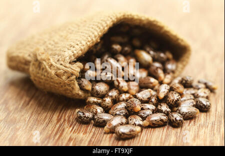 Castor-Bohnen in Jute Sack auf Holzuntergrund Stockfoto