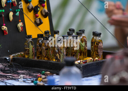 Kräuter-Behandlungen und Tränke für Verkauf auf dem jährlichen Heilung Festival in der Karwoche auf Siquijor Island, Philippinen Stockfoto