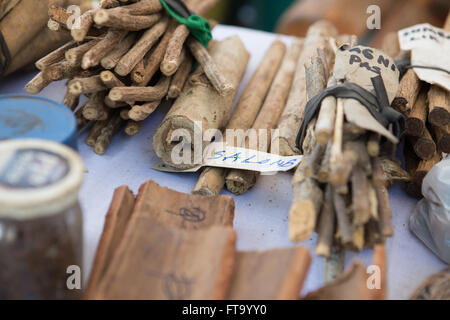 Kräuter-Behandlungen und Tränke für Verkauf auf dem jährlichen Heilung Festival in der Karwoche auf Siquijor Island, Philippinen Stockfoto