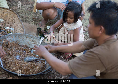 Traditionelle Heiler auf Siquijor Island Brauen/Köchin eine Mischung von Heilpflanzen und Kräutern auf die Karwoche Samstag schwarz Stockfoto