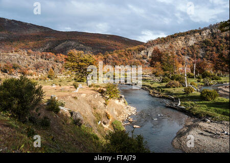 Herbst in Patagonien. Tierra Del Fuego, Argentinien-Seite Stockfoto