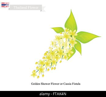 Thailand-Blume, Illustration von Golden Shower Blumen oder Cassia Fistula Blumen. Die nationale Blume von Thailand. Stock Vektor