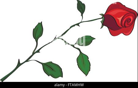 Red Rose, isoliert auf weiss Stock Vektor