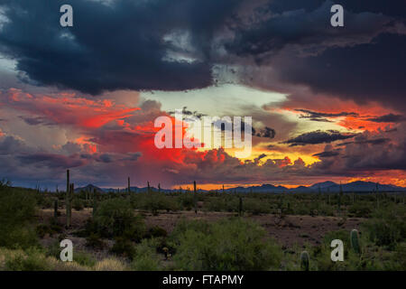 Stürmischer Monsun-Sonnenuntergang in der Wüste im Picacho Peak State Park, Arizona, USA Stockfoto