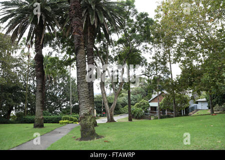 Elkington Park in Balmain, Sydney, Australien Stockfoto