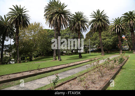 Elkington Park in Balmain, Sydney, Australien Stockfoto