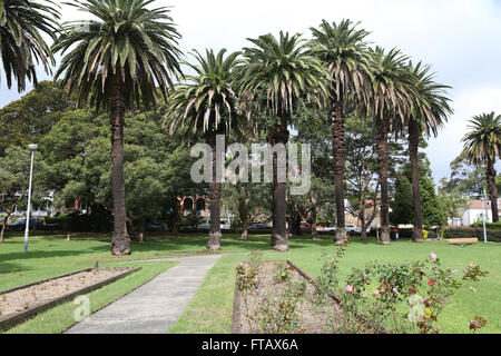 Elkington Park in Balmain, Sydney, Australien Stockfoto