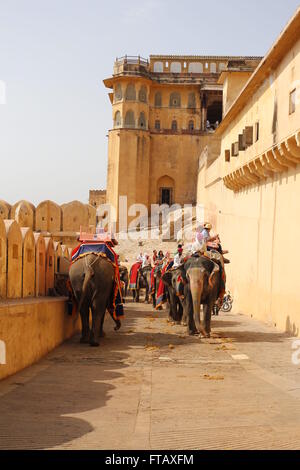 Elefanten, die Touristen auf das Amber Fort, Jaipur, Rajasthan, Indien Stockfoto