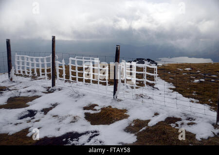 Eis bedeckt Drahtzaun auf dem Gipfel des Jenkins Hill Cumbria UK. Stockfoto