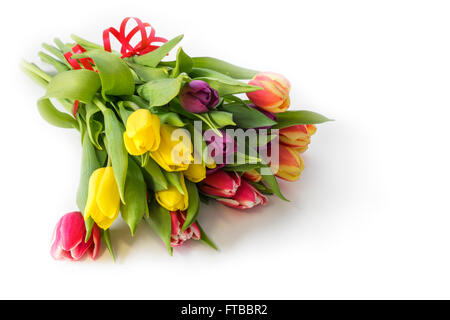 Blumenstrauß frisch mehrfarbige Tulpe Stockfoto