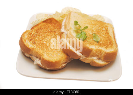 Thunfisch schmelzen Sandwich serviert mittags Stockfoto