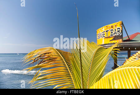 Karibische Meer im Hintergrund mit einer Kokospalme Wedel im Vordergrund mit der Sunset-Bar versteckt auf der Seite Stockfoto