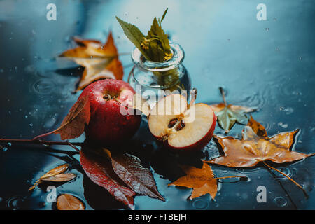 Herbst regen und Äpfel Stockfoto