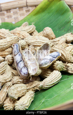 Erdnuss, gekocht auf Bananenblatt in Korb Stockfoto