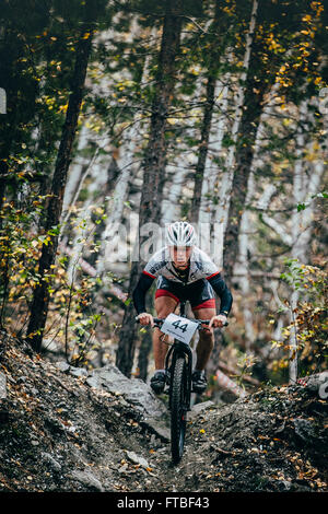 : Sludorudnik Russland - 13. September 2015 bergauf Racer Radfahrer im Hintergrund ist ein Birkenwald während Blagikh Racing Cup Stockfoto