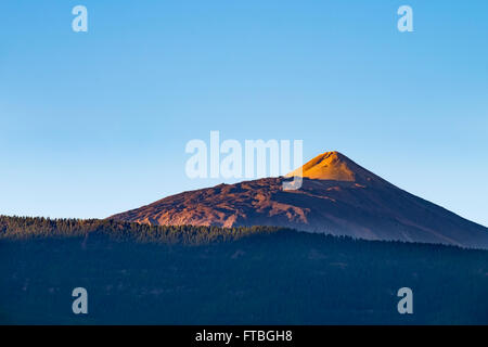 Vulkan Pico del Teide wie gesehen von Orotava, Teneriffa, Kanarische Inseln, Spanien Stockfoto