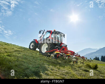 Traktor Zetten frisch geschnittene Heu mit einem Heuwender, Hopfgarten, Brixental, Tirol, Österreich Stockfoto